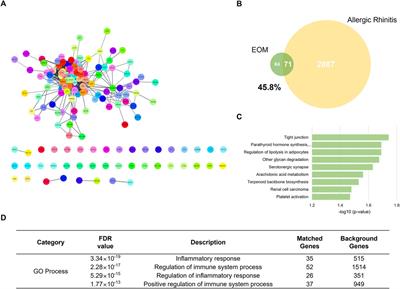 Protective effects of inhalation of essential oils from Mentha piperita leaf on tight junctions and inflammation in allergic rhinitis